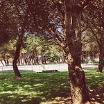 Quinta Do Monteverde * Viana do Castelo