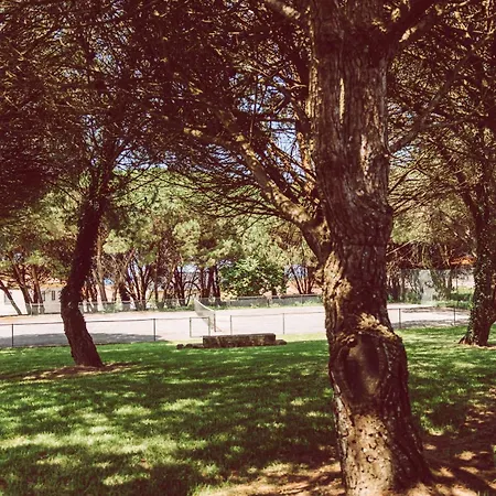 Quinta Do Monteverde Летний дом