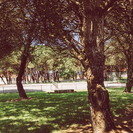 Quinta Do Monteverde * Viana do Castelo