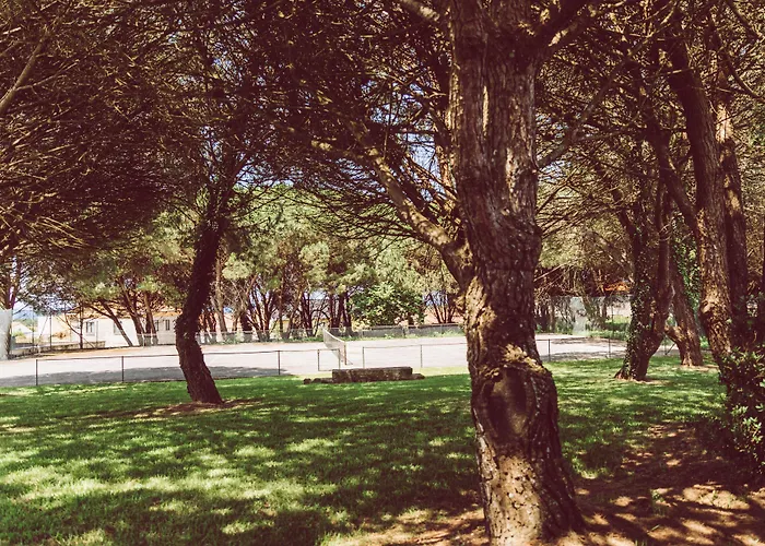 Quinta Do Monteverde * Viana do Castelo